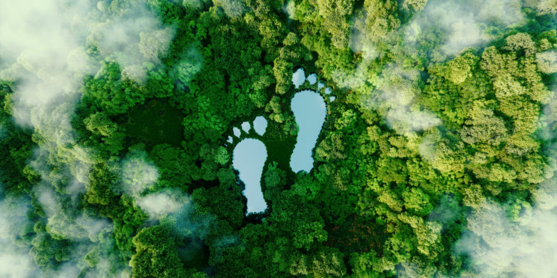 Cradon footprint